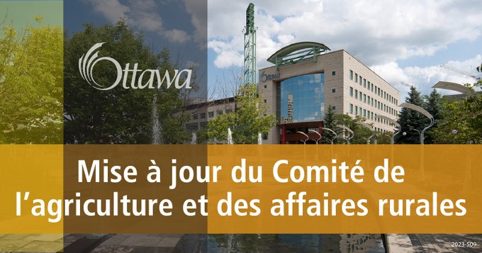 Illustration sur laquelle on aperçoit l’hôtel de ville d’Ottawa à l’arrière-plan. Au premier plan figurent un trait gris vertical et un trait jaune horizontal. L’inscription « Mise à jour du  Comité de l'agriculture et des affaires rurales » est au centre.