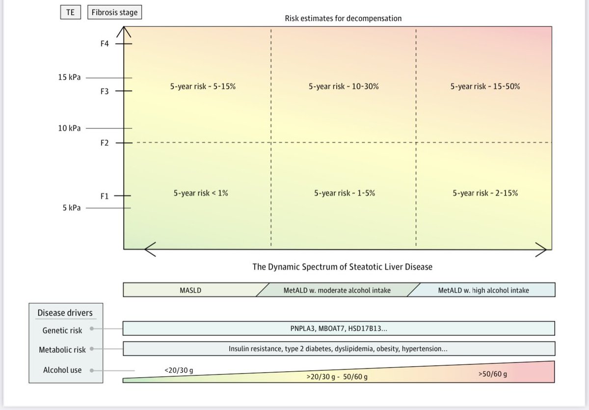 Alcohol related Liver Disease under the new flag #SteatoticLiverDisease 

👇how I see #MetALD clinically 👇 

👉where most of my patients belong?🤔
👉opportunity - awareness alcohol
👉spectrum thinking is clinically👍
👉weight of disease drivers inform prognosis and treatment
