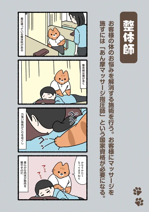 #ぱんだにあ 先生の『#ねこのおしごと』。     第55回は「#整体 師」です。     