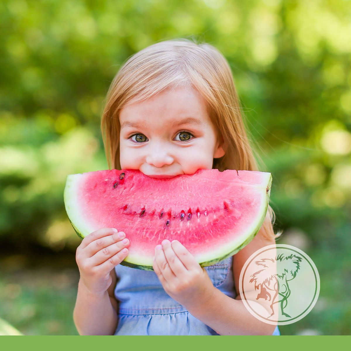 NormanPediatric's tweet photo. Summer means more outdoor fun and adventures! Don't forget to schedule your child's Well Child care exam to ensure they're ready to seize the season healthily! Call us at (405) 321-5114 to book an appointment. #SummerHealth #ChildCare https://t.co/qsuvbVo8yV