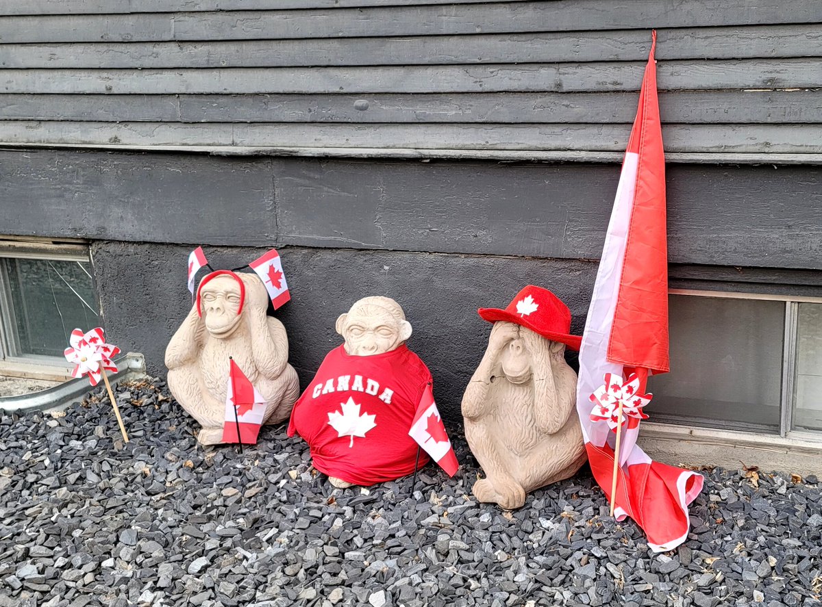 The Lower Mount Royal No Evil Monkeys got #CanadaDay Festival this year Saw them all dressed up days ago, but didn't manage to get a pic til now Cc @cmcalgary #yyc @17thavesw