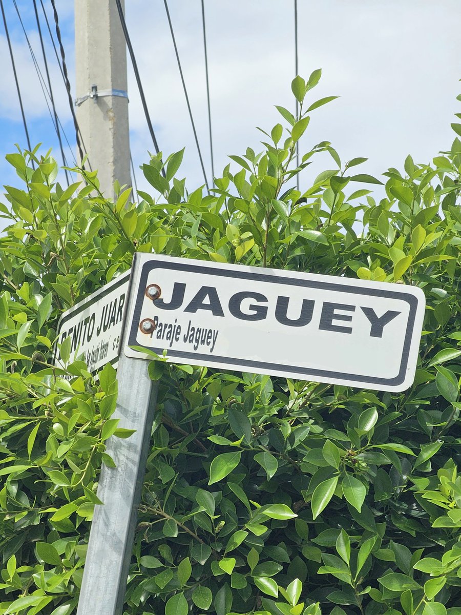 isa_marcial's tweet image. Mis amigos que no les gusta la tecnología tratando de pronunciar Huawei: