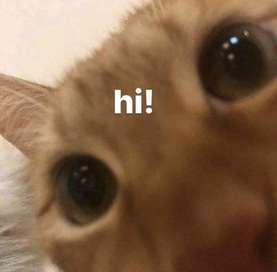 BTOBisSEVEN_'s tweet photo. Let's be mutual on threads, huhu🫶

https://t.co/Zq1R4cYZRx https://t.co/wxfiJiBcIG