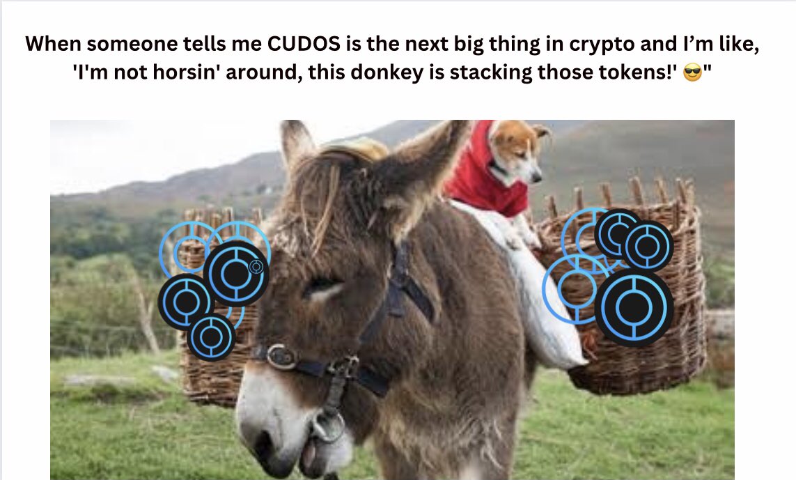 iambeejahh's tweet photo. Remember, invest wisely on $cudos and be smart as the donkeyπ always do your research, but don't forget to have a little fun along the way!
Explore More: https://t.co/nxpxyOIESp
#CUDOS #Crypto #DonkeyPower https://t.co/atdFrlugqo