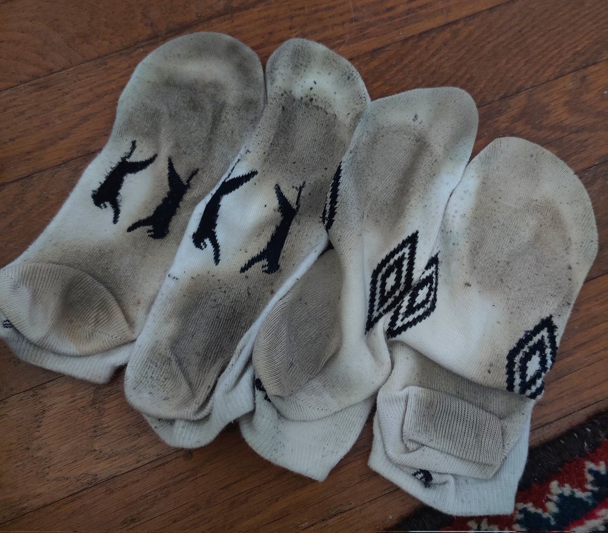 gayfeet628's tweet photo. @boyracersw Still getting used and abused😈 https://t.co/dBtUJ9iGus
