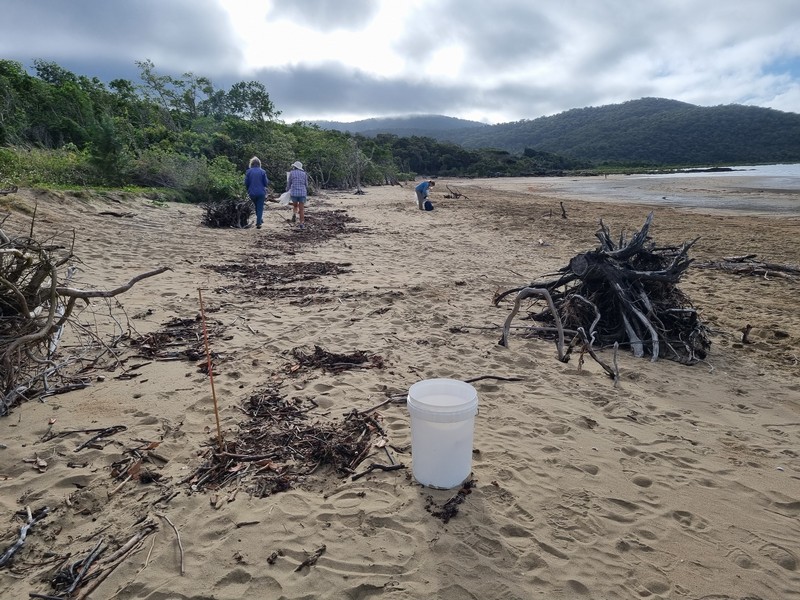 TangaroaBlue's tweet photo. Monitoring matters!

A big thank you to Whitsunday Catchment Landcare Inc. who have been monitoring Conway Beach and recently removed 21.7kg of debris across 800m.

#marinedebris #monitoringdebris #amdi #amdipartners https://t.co/xIpPSe1yP8