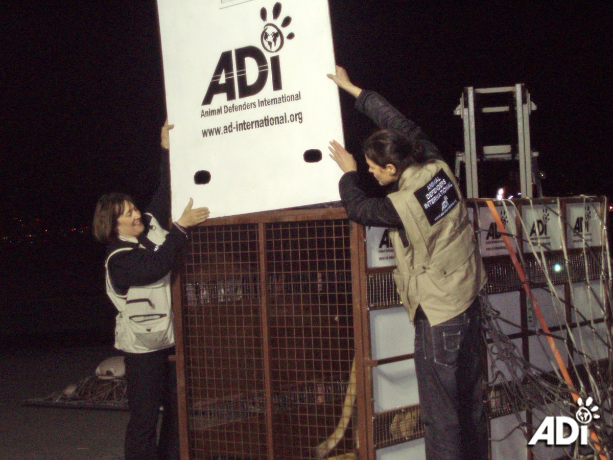 ADI tweet media