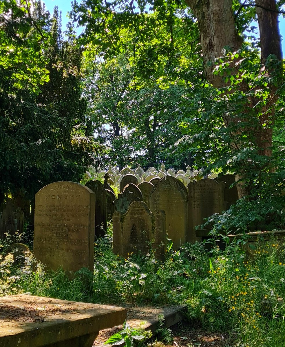 FayeMeany's tweet photo. Bronte Country 
#brontecountry #charlottebronte #emilybronte #bronteparsonage #YORKSHIRE #uk #photography #graveyard #nature https://t.co/kc2kJNRZRi