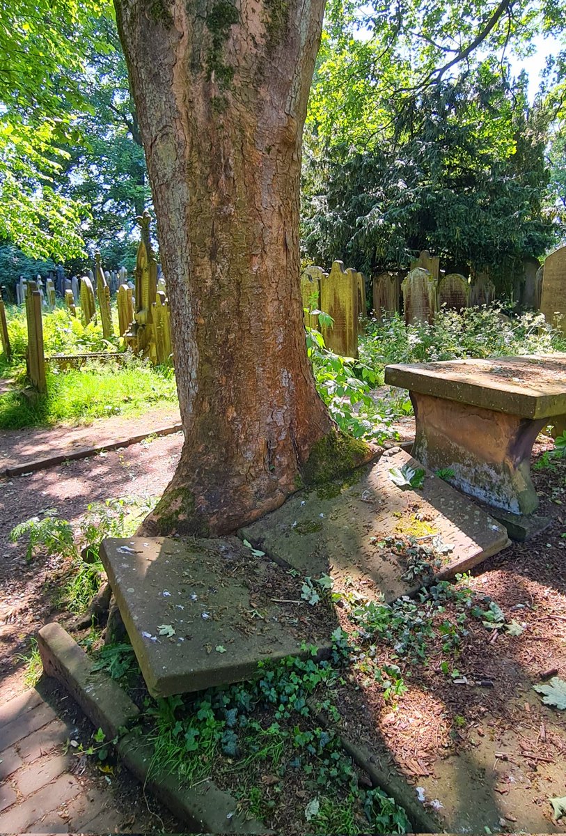 FayeMeany's tweet photo. Bronte Country 
#brontecountry #charlottebronte #emilybronte #bronteparsonage #YORKSHIRE #uk #photography #graveyard #nature https://t.co/kc2kJNRZRi
