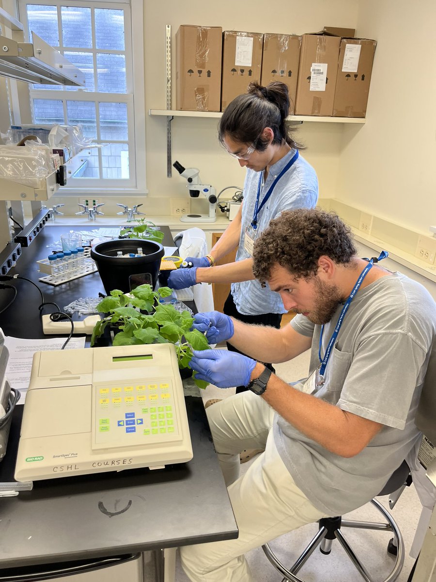 CSHLPlantSchool's tweet photo. New twitter account for the Frontiers and Techniques in Plant Science course at @CSHL Follow us for updates on the 2023 course! https://t.co/MRUlgpsFgx