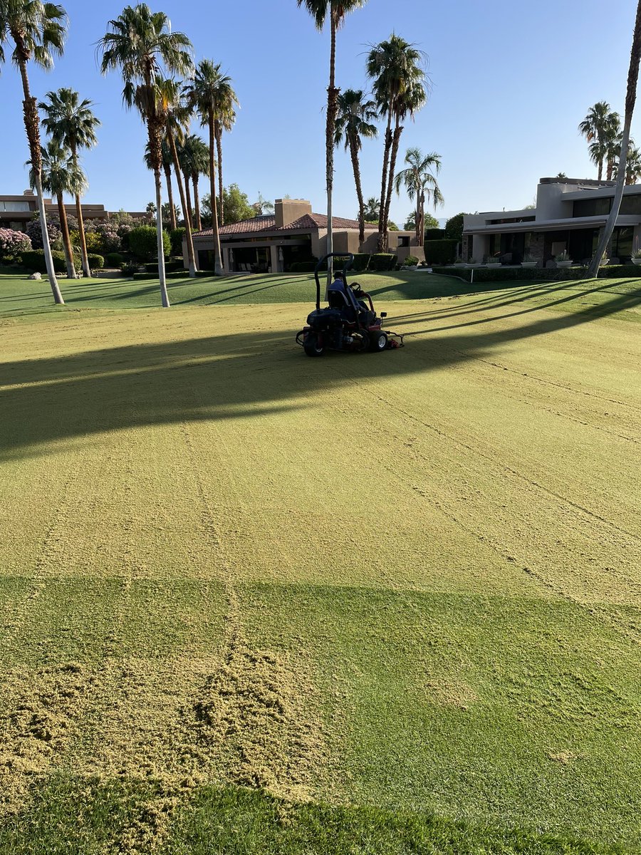 Light verticut…
