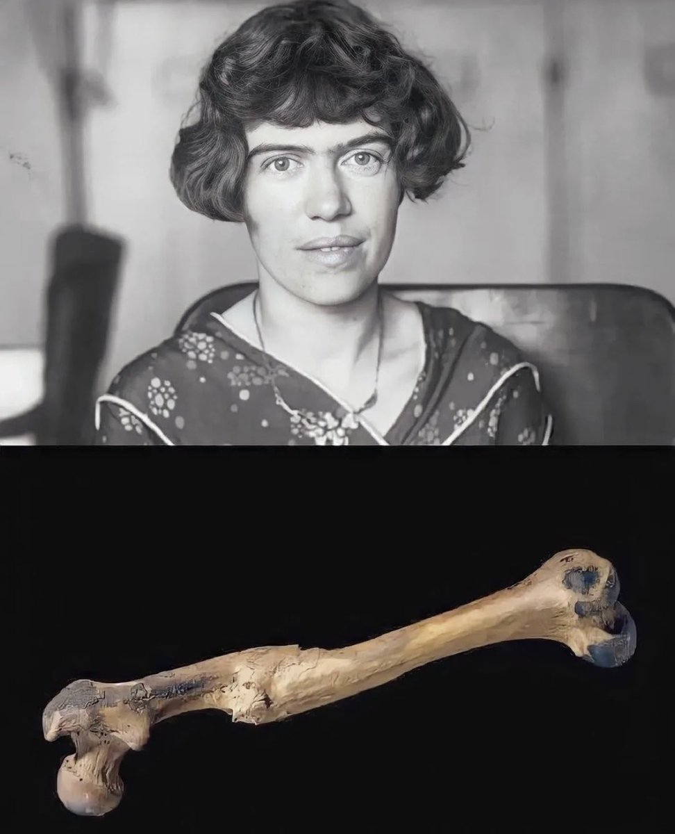 The concept of civilization is often associated with various tangible artifacts and advancements, such as tools, architecture, or systems of governance. However, anthropologist Margaret Mead presented a different perspective when she was asked about the first sign of civilization