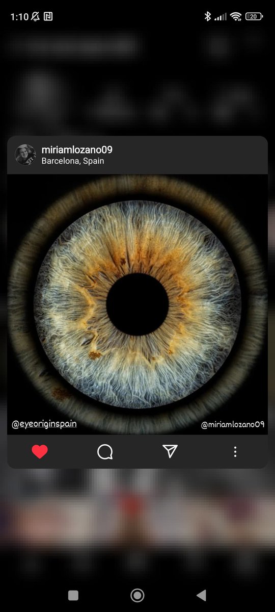 miriam1D10's tweet image. My eye 💛💚💙