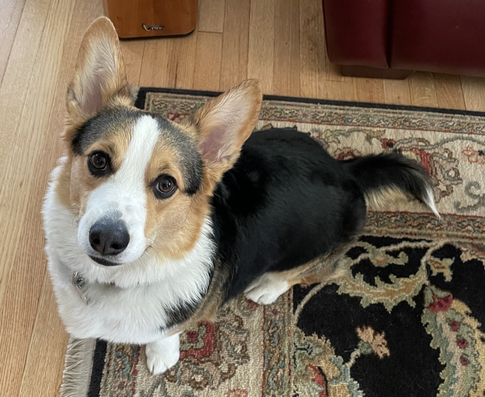 Jim Hagman, Ph.D. 🇺🇸🇺🇦🌈 tweet media