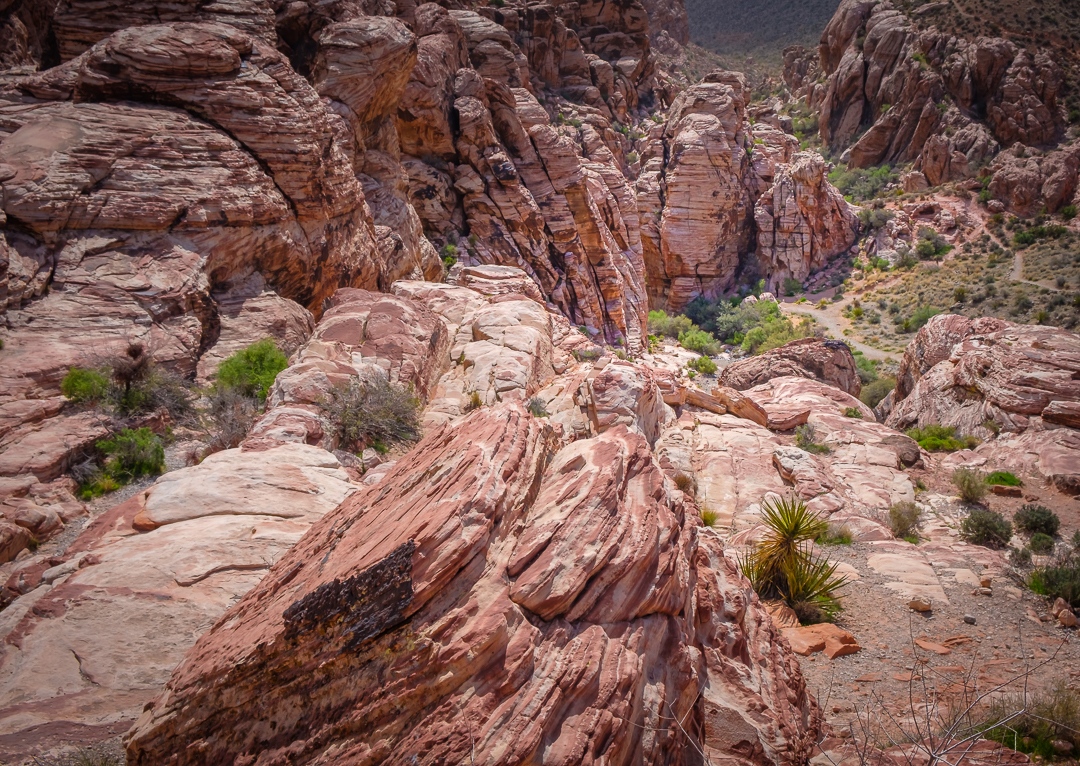 Spazmier's tweet photo. "Red Rock" - Amazing views and terrain!

https://t.co/Wv9hGOuUR4

#fujifilm #KazemirPhoto #kazemir #XH1 #Vegas #RedRock #Canyon #Hike https://t.co/6efzPNLuIE