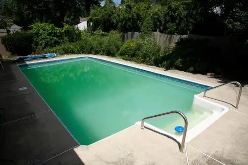 pooltechpools's tweet photo. Have you ever wondered why your pool water turns green? It's because of algae growth, which can be prevented with proper maintenance and regular cleaning. 🌿 #PoolMaintenance #PoolTech #PoolTechTips #MesquiteTX https://t.co/5kevwcWEqa