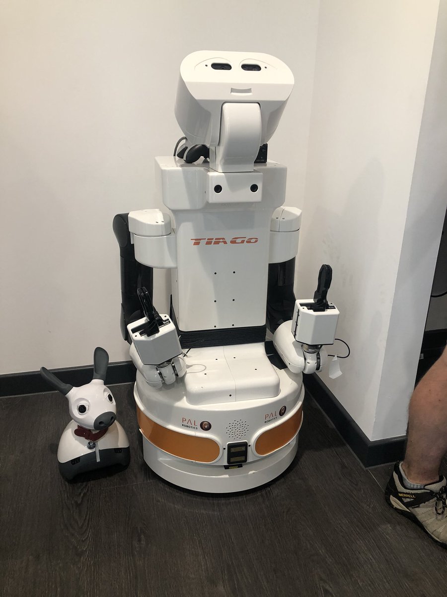 Mairi Thomson tweet media