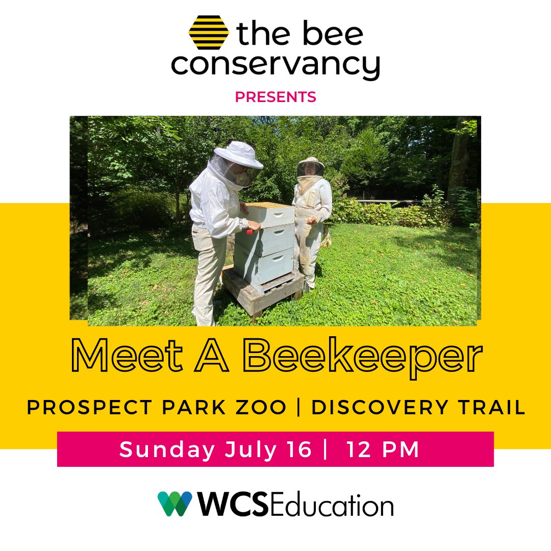 The Bee Conservancy tweet media