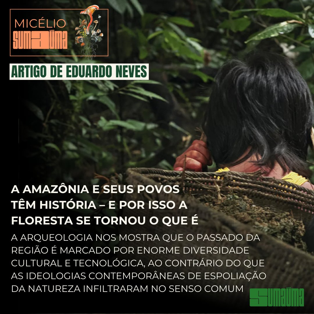 sumaumajornal's tweet photo. "O Brasil e o mundo ainda enxergam a Amazônia como uma região carente à espera de planos mirabolantes que a salvem da destruição. Mas a arqueologia tem demonstrado que essas ideias representam mais perspectivas políticas contemporâneas que propriamente o que se conhece (+) https://t.co/5RZY9JA5oZ