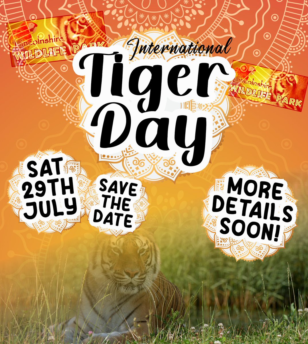 Our annual big #family event #InternationalTigerDay is coming soon… save the date! 🐯 Saturday 29th July! 🐯 #Lincolnshire #Skegness #events #visitlincolnshire #tigers #july #india #awareness #bigcats