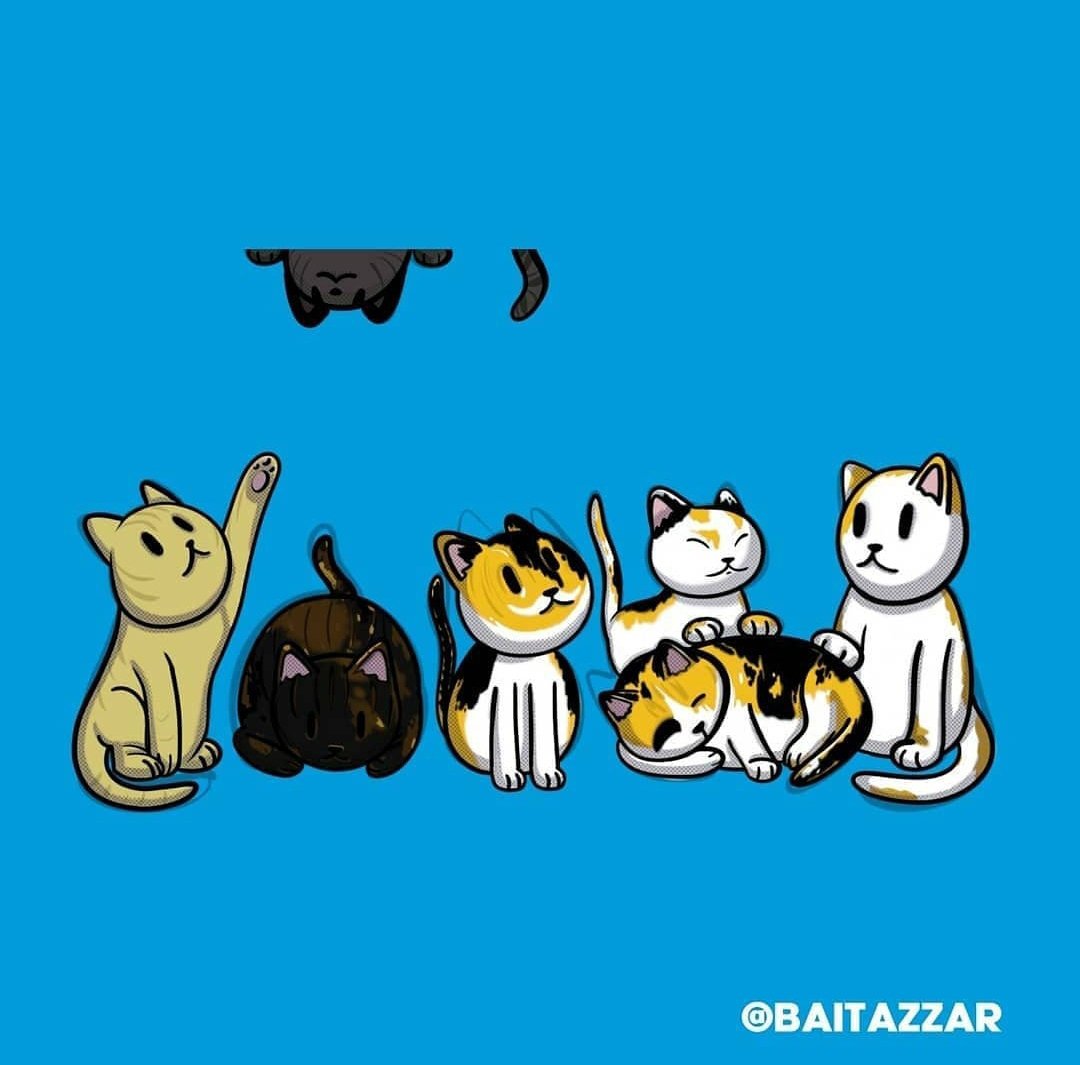 B A L T A Z Z A R ⭐ tweet media