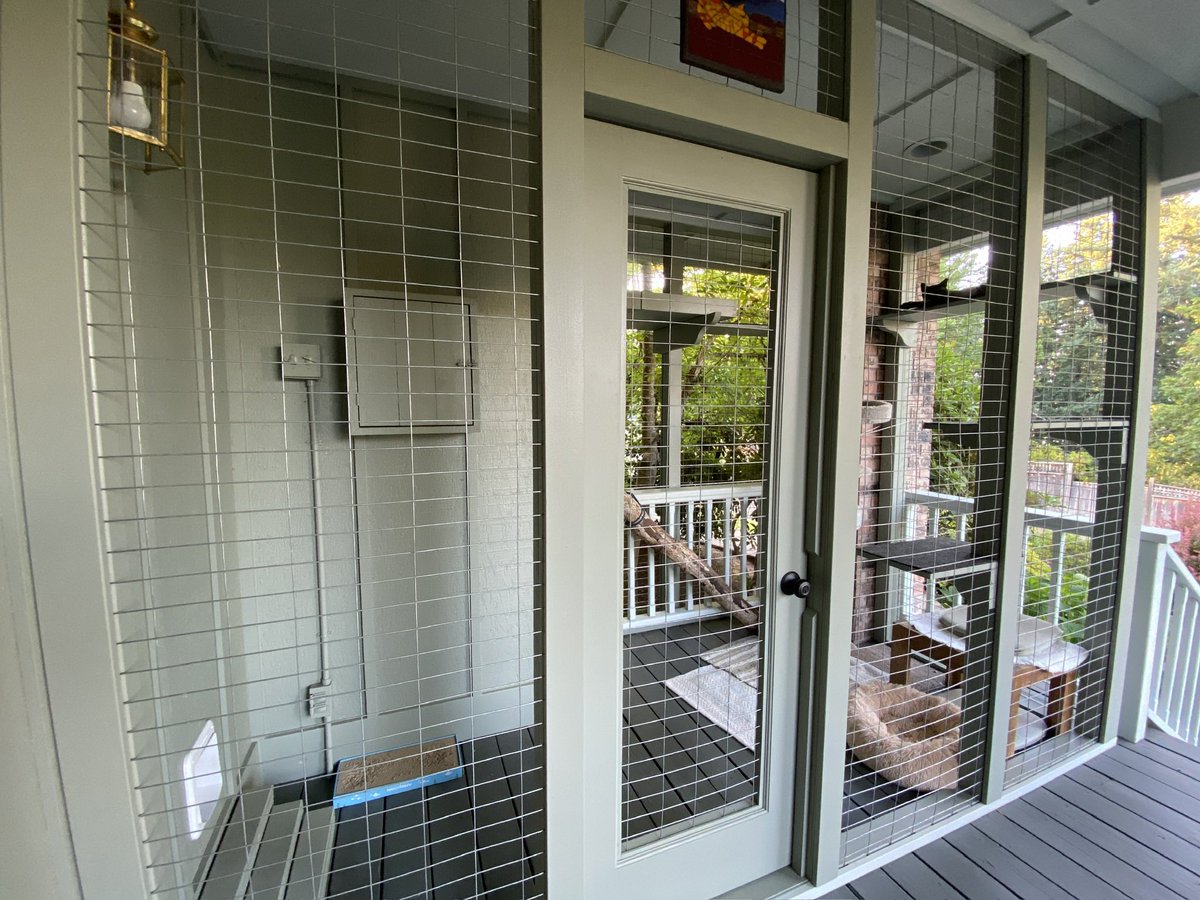 jdonith's tweet photo. You know your dad is a crazy cat lady when: 

He custom builds a “Catio” castle for his pure breed Siamese… 😹😹😹

#CatsOfTwitter #catio #catlady #spoiled #siamesecats #catdad https://t.co/IlJUfd01m6