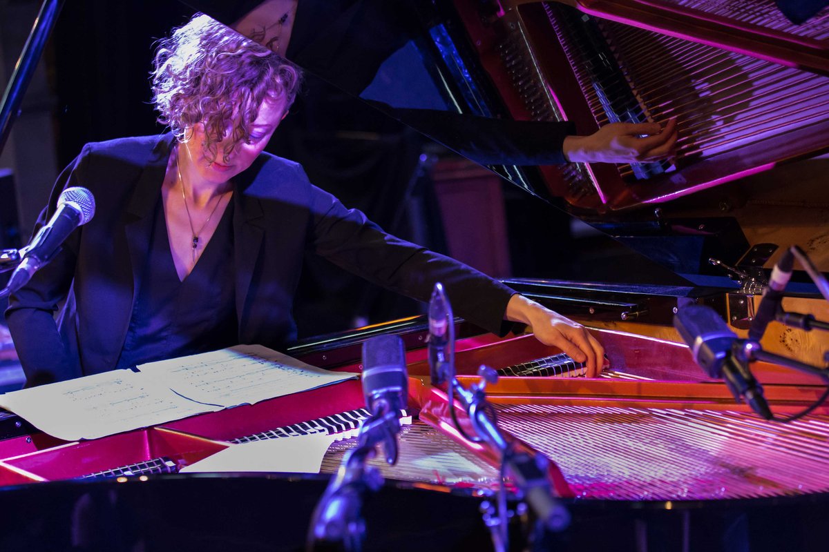 Northern Lights Project tweet media