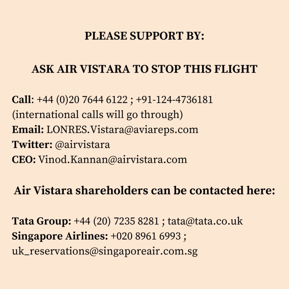 Solidarity Detainee Support (SDS) tweet media