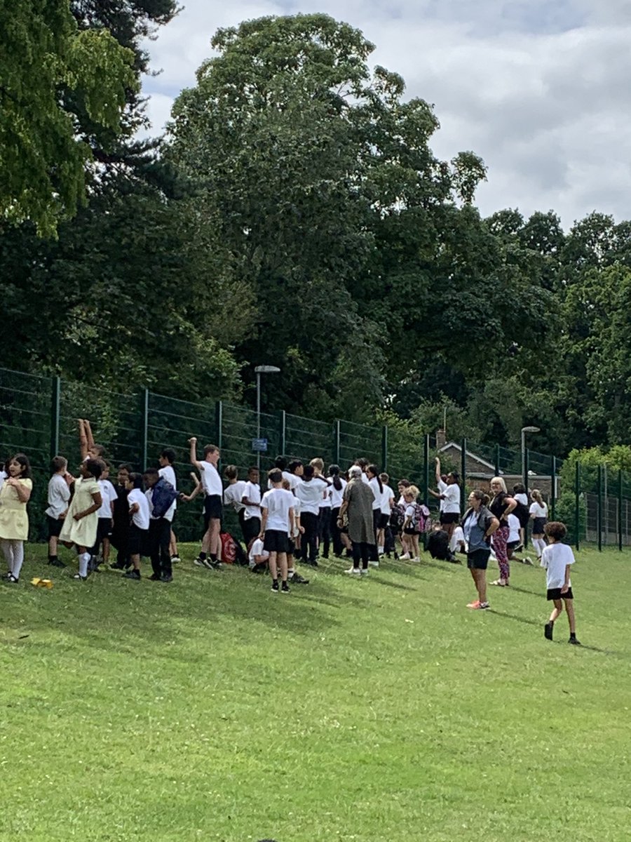 Saint Francis of Assisi tweet media