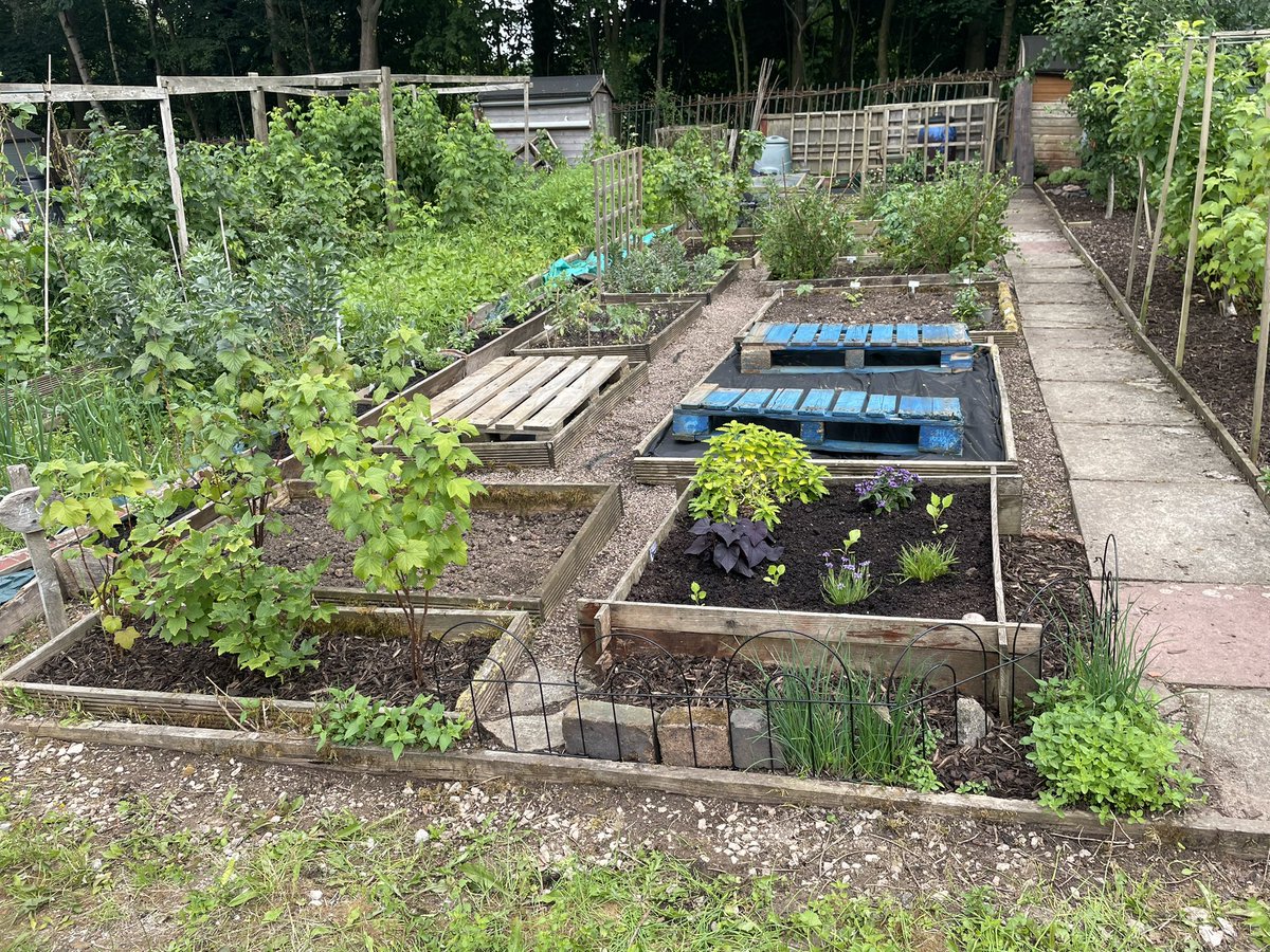 NBC_GreenTeam's tweet photo. …………… we’ve been busy judging today #bloom https://t.co/6eegobuJLU