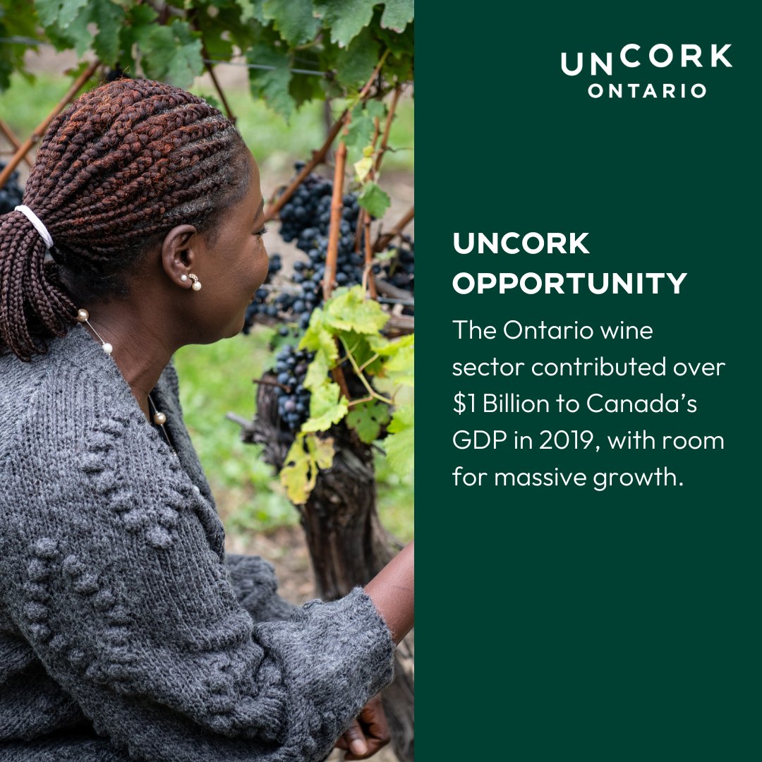 Ontario’s wine industry is the catalyst for economic growth for the Niagara region and the province. Learn more about the landmark report at UncorkOntario.ca #uncorkontario