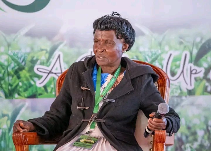 KonoinDaily's tweet photo. The Tea Reforms Conference started today at Golf Club Kericho. The conference aims to improve the tea industry and benefit the farmers. Hon. @LennyBrighton1 attended the conference and expressed his hope for positive outcomes after the summit.

Lapaa Taa https://t.co/Ts2l8yElGP