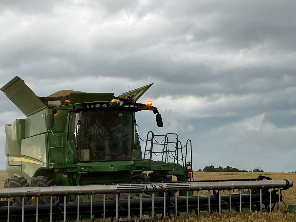 Brett Israel tweet media