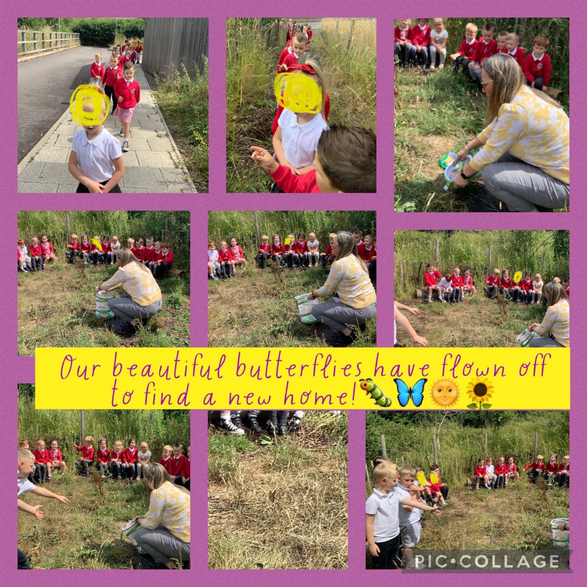 Dosbarth Dewi Sant tweet media