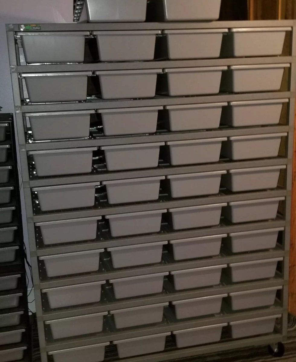 Edisonc93935750's tweet photo. Reptile racks https://t.co/fW8oPqPli7