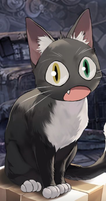 ChokinDaddy's tweet photo. @NIKKE_en My new memes 🐱❤️ https://t.co/7spTjBKkNz