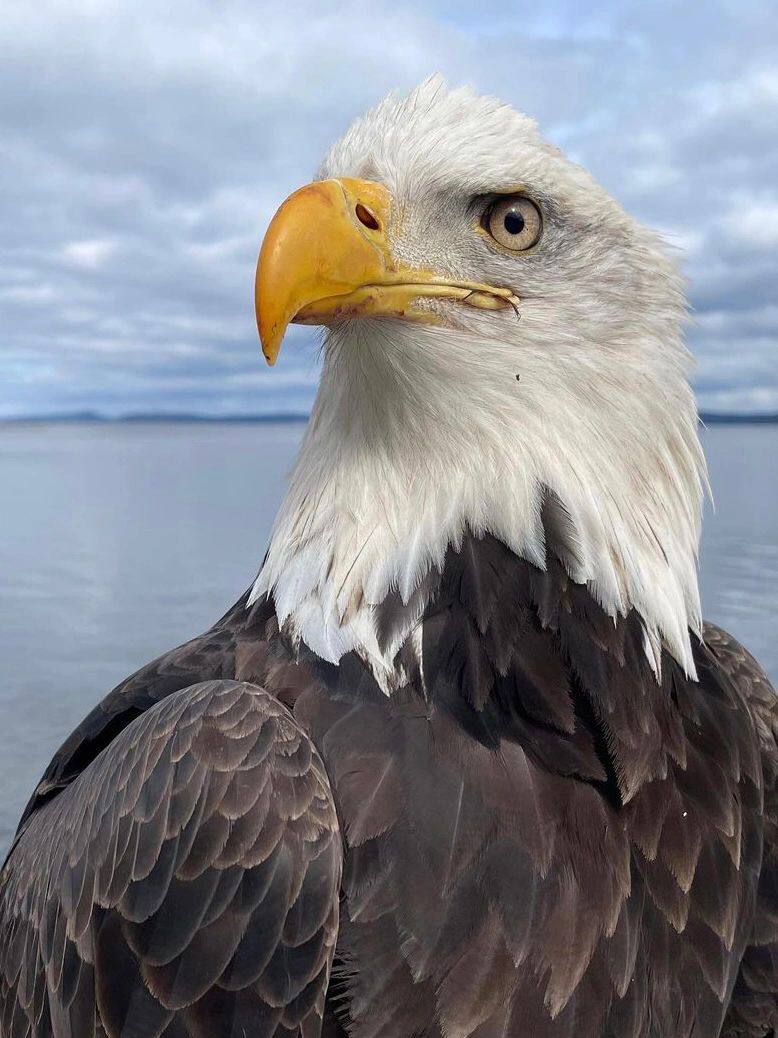 Jenny (@jenny7653063399) on Twitter photo 