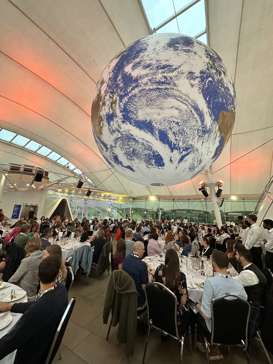 Diana Santelia tweet media