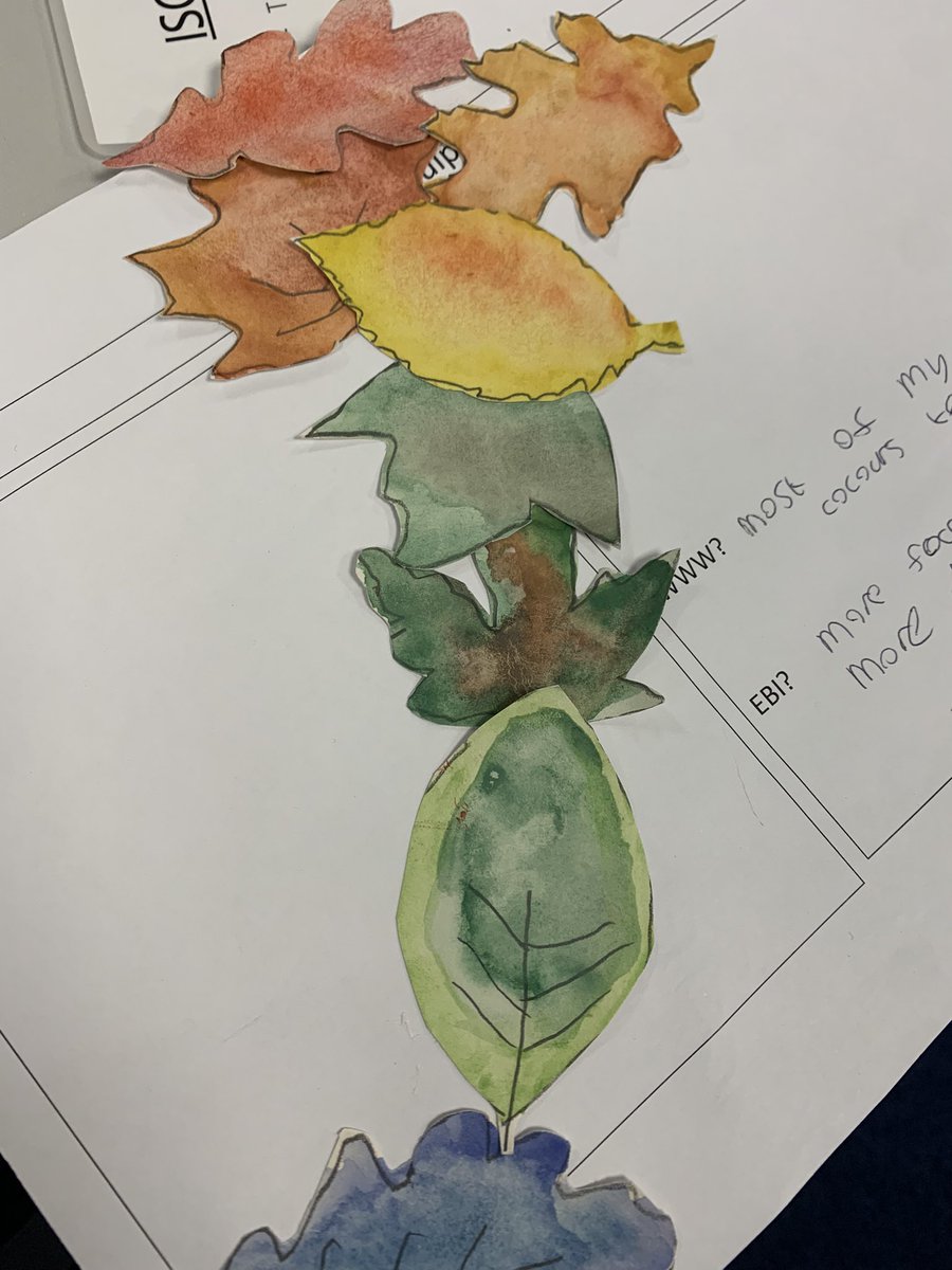 Mrs Ferrarelli tweet media