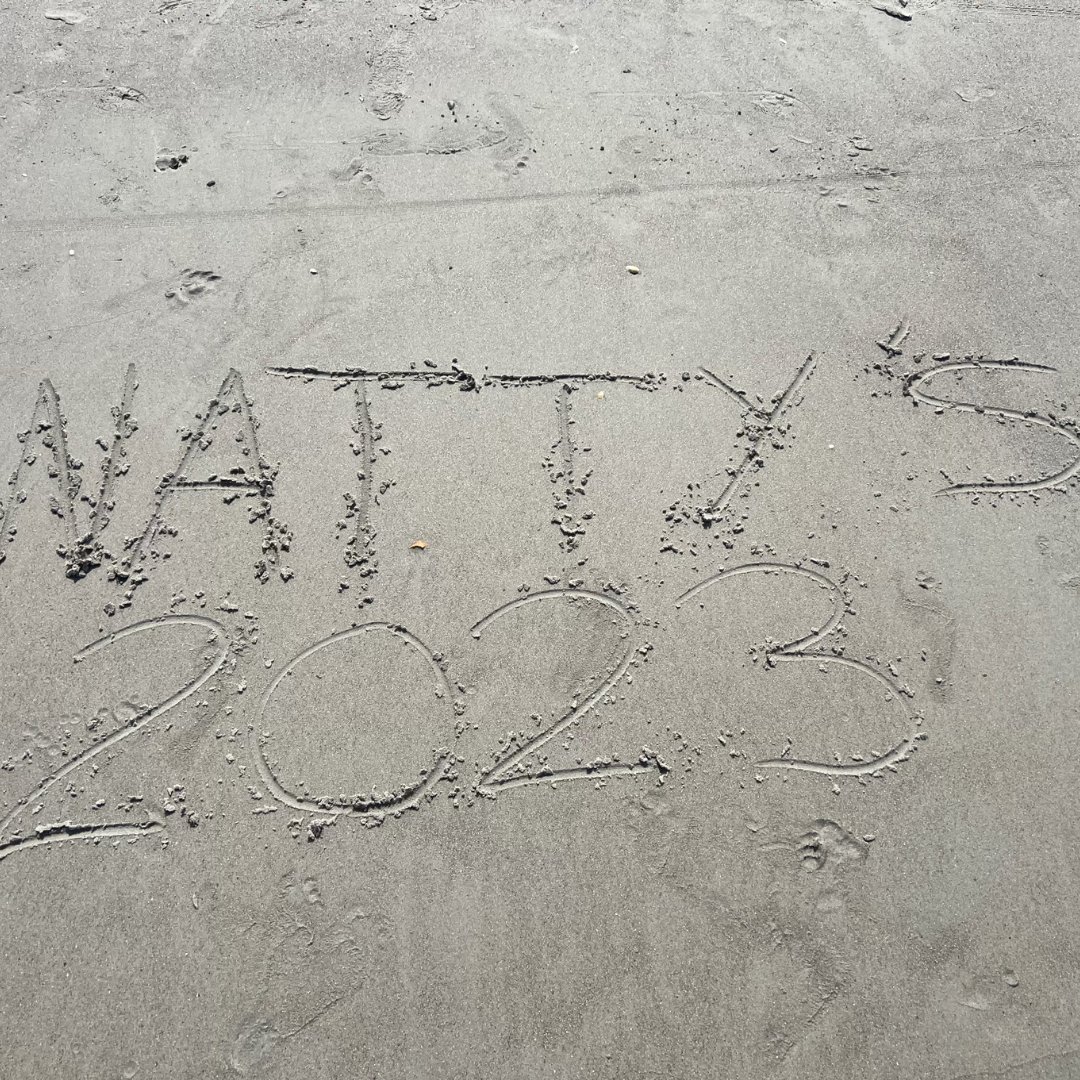 Motion Volleyball Program tweet media