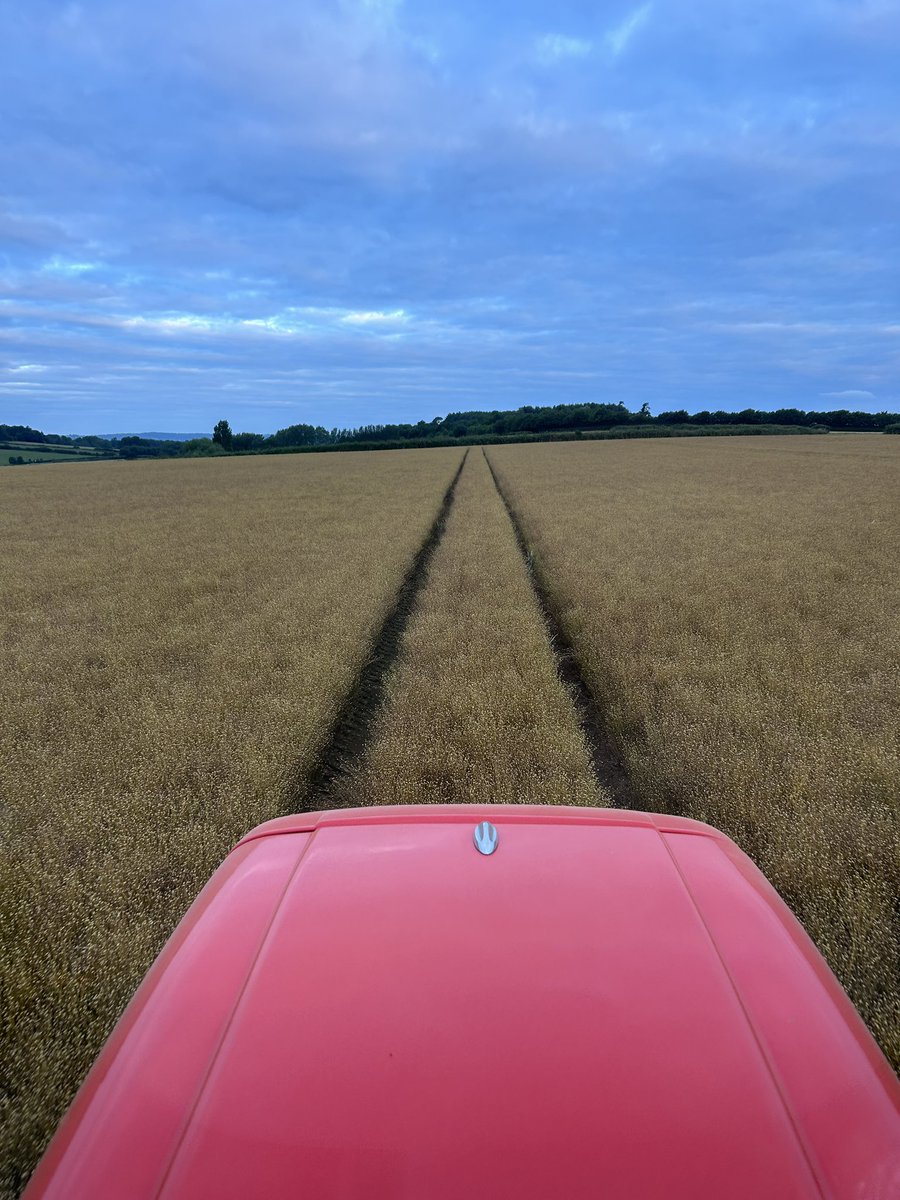 Spraying off the winter linseed at 5am this morning before the wind got up again#premiumcrops