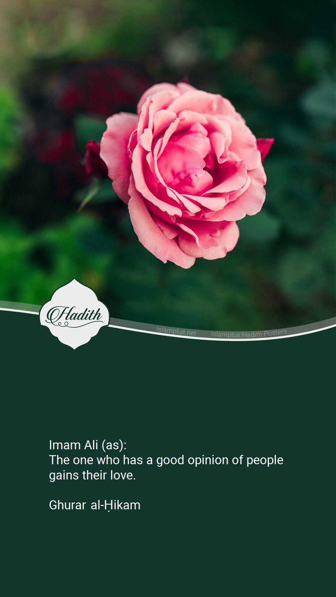 Imam Ali (as): The one who has a good opinion of people gains their love.
#FollowerOfAli
#لبیک_یا_خامنه_ای #storm #IndependenciaONada