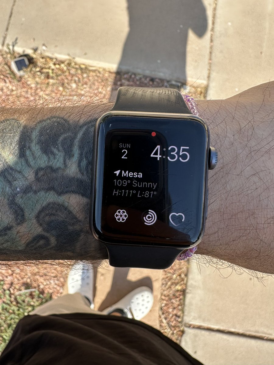 primehgss *insert something quirky* tweet media