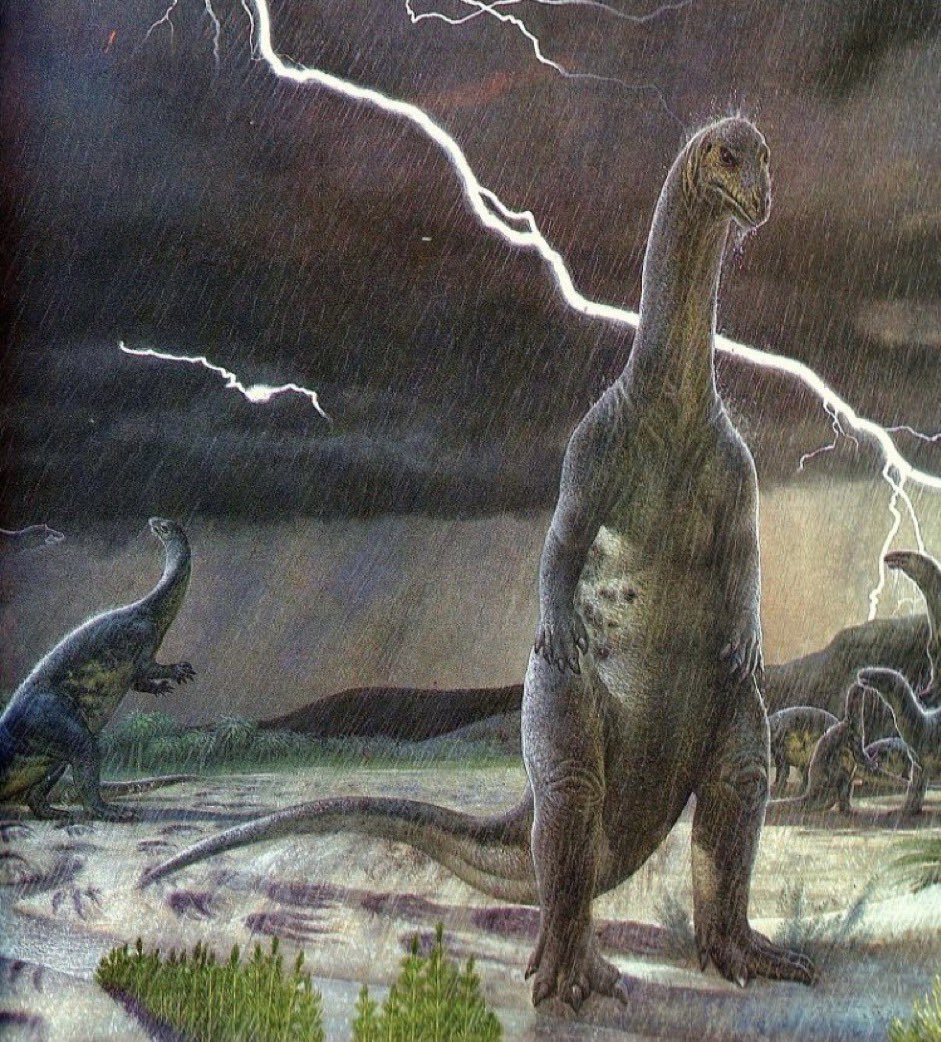 daisy rae on Twitter: "just paid $11 for an iced vanilla latte https