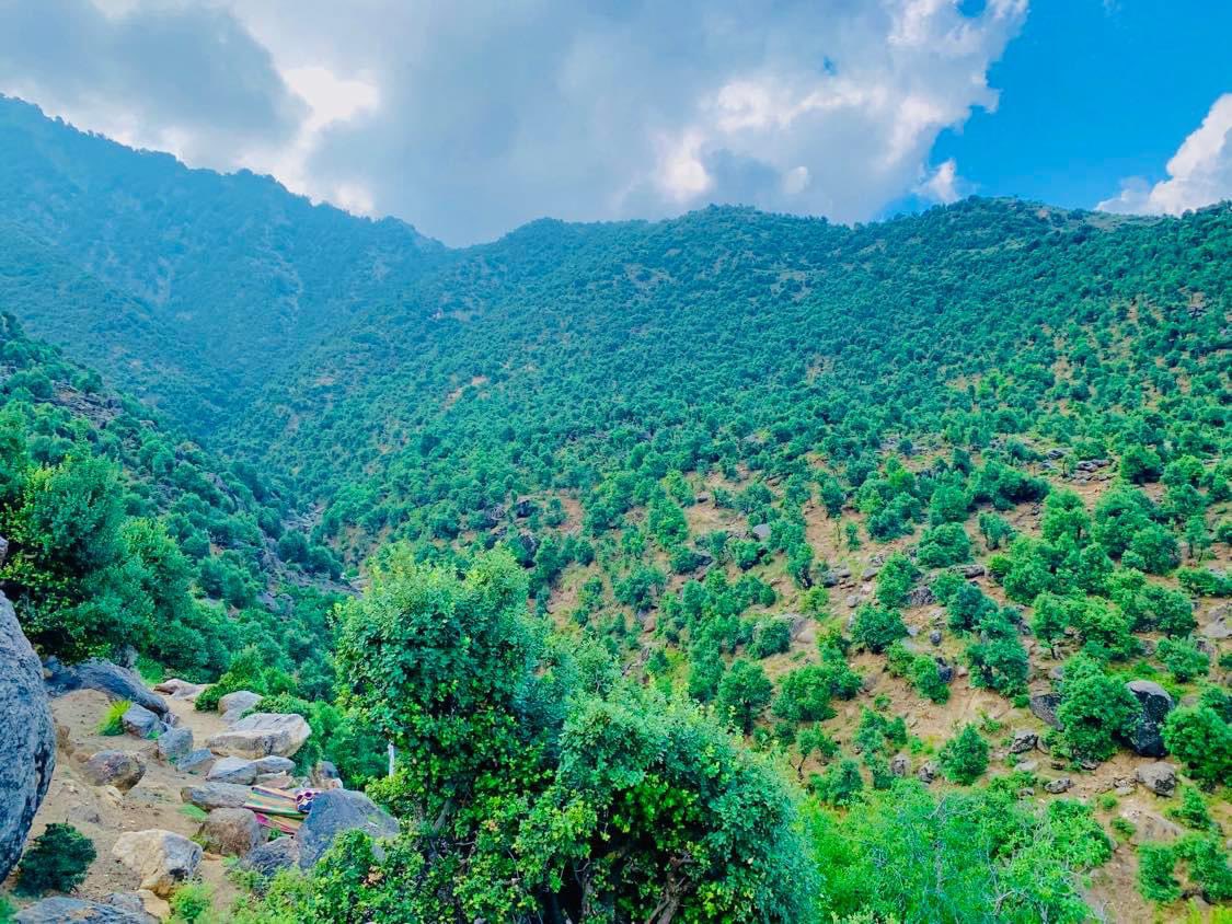 VisitAFG's tweet image. Dara-e-Noor district of Nangarhar province
📸 Sami Shirzad