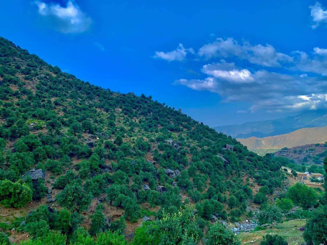 VisitAFG's tweet image. Dara-e-Noor district of Nangarhar province
📸 Sami Shirzad