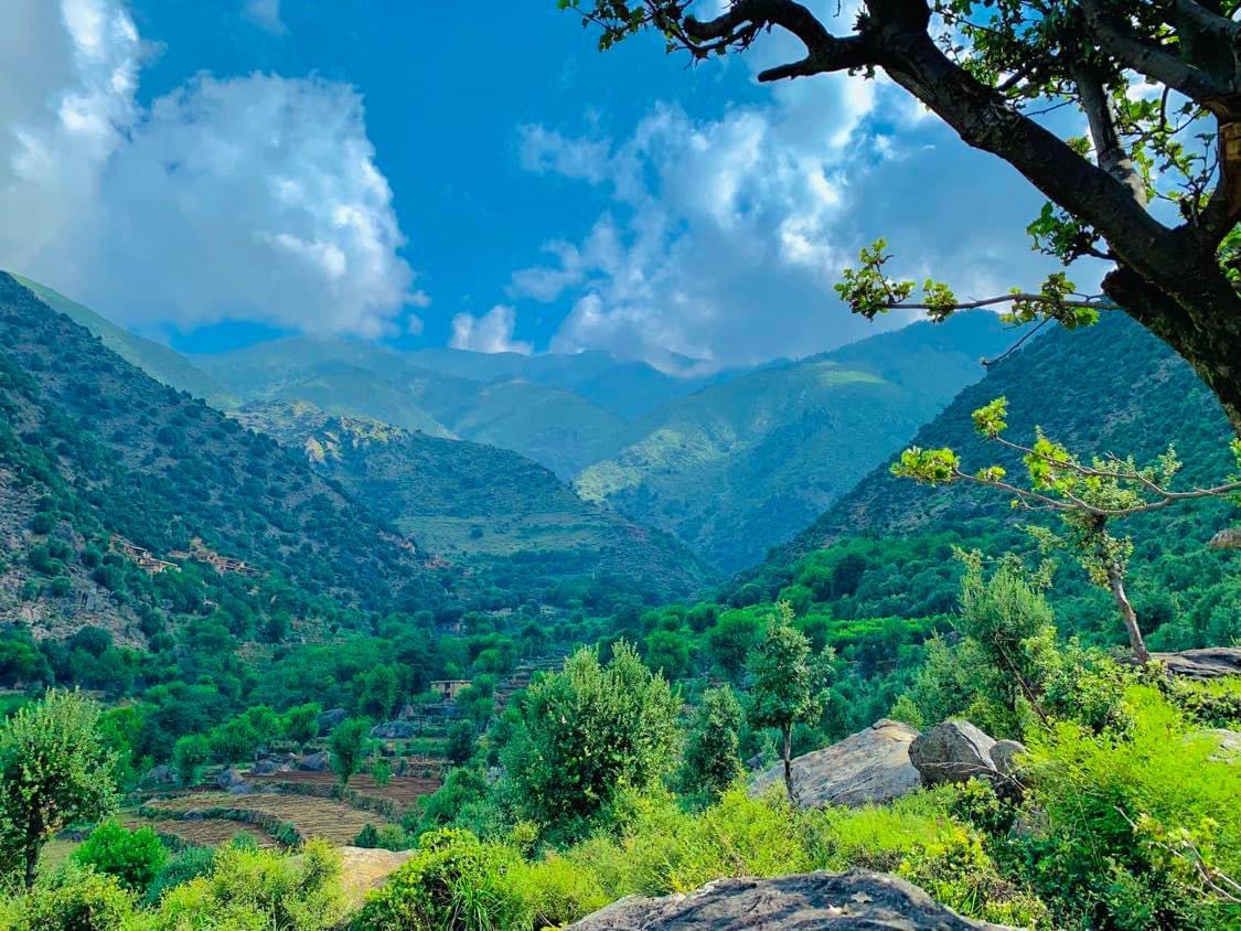 VisitAFG's tweet image. Dara-e-Noor district of Nangarhar province
📸 Sami Shirzad