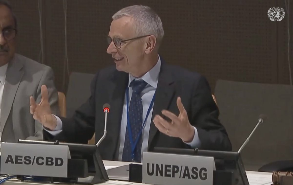hdavidcooper's tweet photo. “The #KMGBF requires action #now to achieve results by 2030” 

I would like to thank the @UNHQ for having me today. It was a pleasure to talk about the #KMGBF. I am looking forward to continuing the momentum towards a sustainable future!

@UNEP_NYO https://t.co/VHsjvNcO9s
