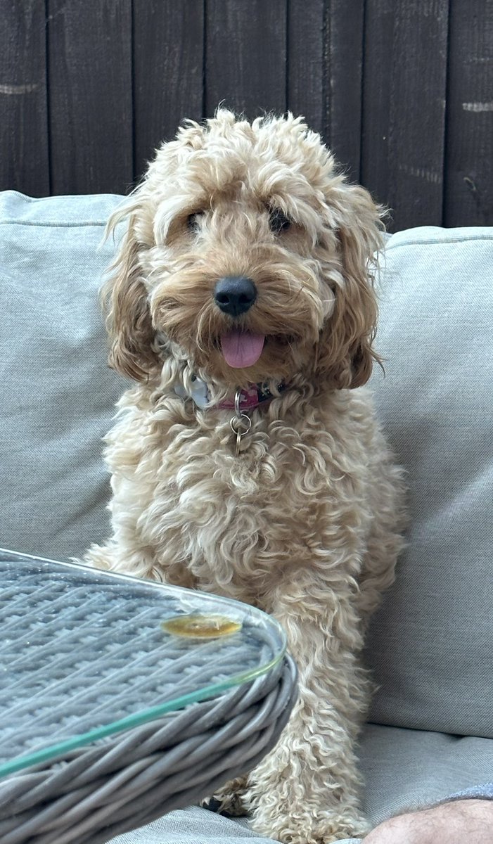 Beverley Hughes tweet media