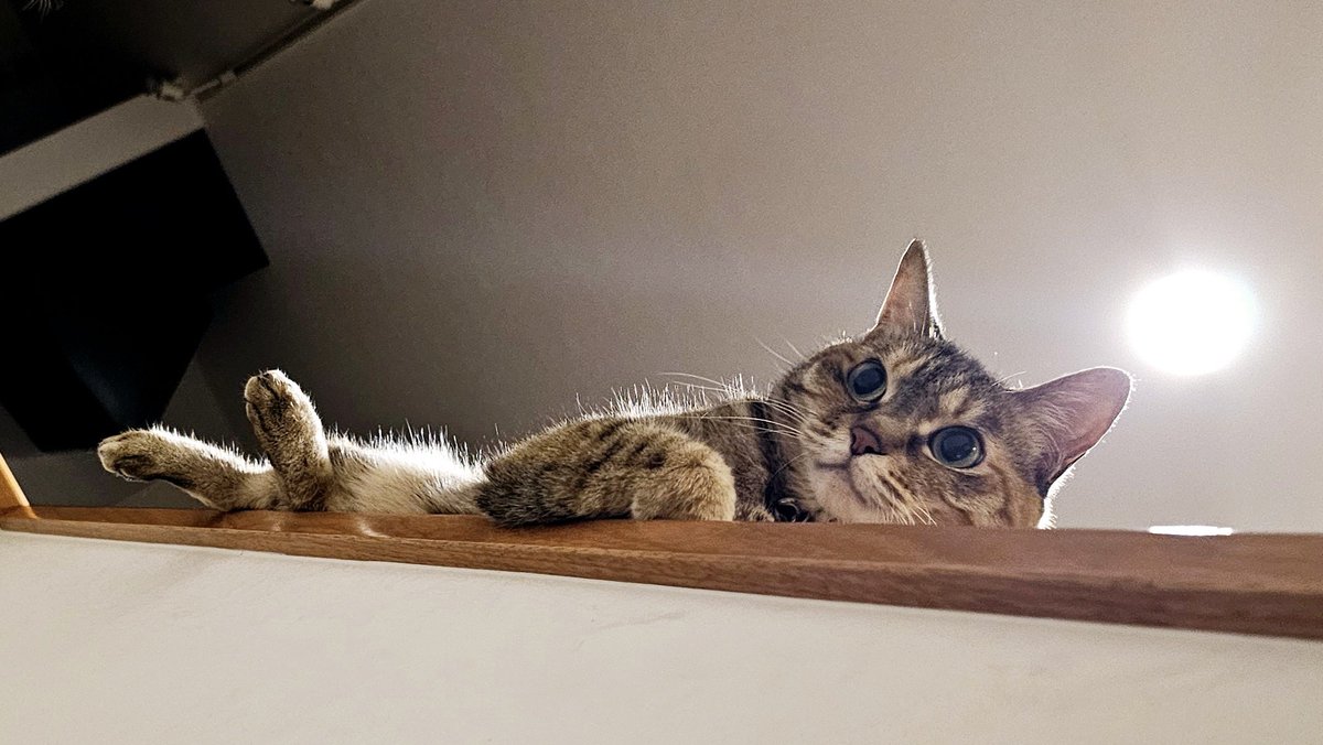 女神かよ
下から見てもかわええのう https://t.co/cJyGtFcLkh